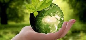 Catering en Madrid EL Madroño 79 catering sostenible